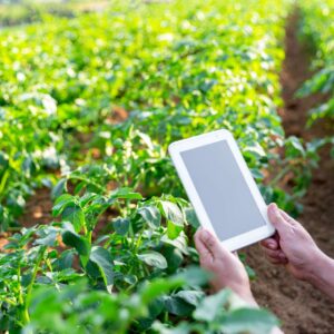 Agriculture with a Green Touch