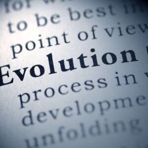EPC Evolution Strategies