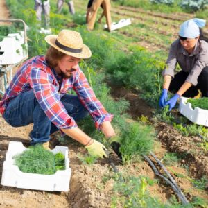 Farming Skills Training