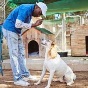 Animal Care Training Program